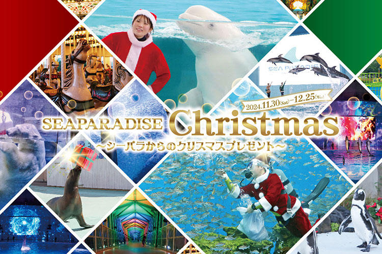 【SEAPARADISE Christmas ~シーパラからのクリスマスプレゼント~】